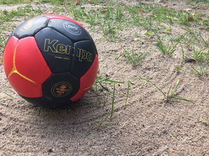 乐鱼体育下载-世界青年手球锦标赛中国队勇夺三连胜，世界手球锦标赛几年一次